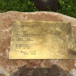 鐵樹與貓，樹屋與鳥，彼此共鳴出有溫度的故事，在此地生根萌芽。