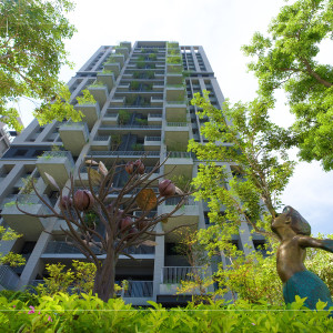 等待風(fēng)起、河畔青青