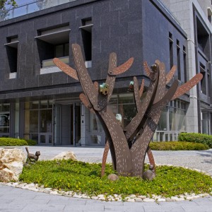 大樹下的時(shí)光