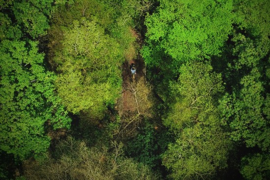 鳥(niǎo)瞰東光園道光景，築森鄰以氧森綠海為伴。