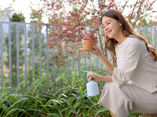 捧起微景，端看大塊美景的縮影。葉片勃發(fā)、欣欣向榮，與『大塊森濤』的靜好歲月相呼應(yīng)。
