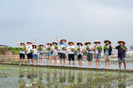 大暑之日，新業(yè)建設(shè)的大家長(zhǎng) 穆椿松名譽(yù)董事長(zhǎng)(右七) 與 卓勝隆董事長(zhǎng)(右六)帶領(lǐng)各部門(mén)同仁，一大清早，來(lái)到契作認(rèn)養(yǎng)的霧峰田間，體驗(yàn)農(nóng)家插秧盛事。