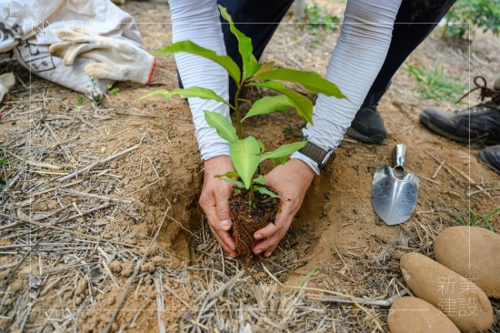 由新業(yè)建設(shè) 卓勝隆 董事長種下新業(yè)團隊的第一棵小樹苗，滿懷心中希冀，期盼平安順利長大，為大肚山增添另一份生機。