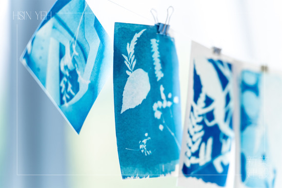 將明信片一字排開，藍(lán)與白的濃淡交織，映照出每位住戶獨(dú)特的創(chuàng)作築跡。