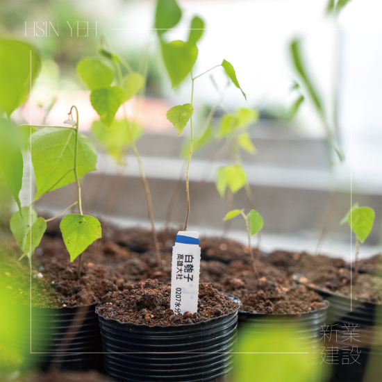 『臺灣山林復(fù)育協(xié)會』，核心目的是推動本土的生態(tài)教育，進行自然棲地的保護，在地種源的復(fù)育，及推動廢耕山坡地順應(yīng)演替復(fù)育為自然森林的工作。