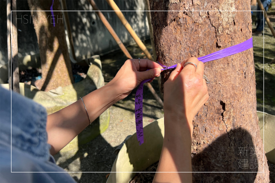 選定每棵樹木後，會(huì)在樹幹繫上綁樹帶做為紀(jì)錄，堅(jiān)持尋樹的原則，維持護(hù)樹的理念，保持愛樹的心。