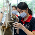 用雙手炙熱的溫度，一捏一壓，棉繩編綁，一串串的美好心意，在佳節(jié)時(shí)刻為長輩們獻(xiàn)上祝福。