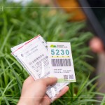 當天新業(yè)職人們不只親力親為的為大肚山種下希望的樹苗，也捐出發(fā)票，為臺灣淺山森林再出一份力，也邀請更多的人一起關(guān)注 ＃我愛山林_5230。