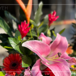 良辰吉日，透過聲聲祝禱，繫起天地與人之間的對(duì)話，期盼2024年完工的【築森鄰】完美收尾。