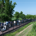 南勢(shì)溪集水面積約9.53平方公里，水質(zhì)良好，周圍仍保留自然生態(tài)風(fēng)貌，水利局打造1.8公里長(zhǎng)的河流與綠親水廊道，透過廊道下到溪邊與自然更加親近。