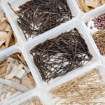 森林裡、步道旁，隨處可見的枯枝落葉、樹幹、樹皮，在透過仔細(xì)觀察各式昆蟲的型態(tài)與構(gòu)造，就能製作出帶有童趣的植物昆蟲。