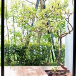 伴隨撒落的陽光，窗外的綠意一片欣欣向榮，樹木彷彿張開雙手迎接著復(fù)甦的恩賜。