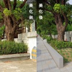 「幫近20棵的茄苳樹換新家」－因原有的花臺過小，喬木生長空間有限，新業(yè)團隊重新打造舒適的巢穴。