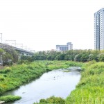 與家族相聚於西屯路永安橋的筏子溪，即將在此展開一場意義非凡的生態(tài)保育行動。