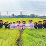 邁入第14年的契作認(rèn)養(yǎng)，以友善農(nóng)法耕作，保障農(nóng)友收益也為環(huán)境留下良田。