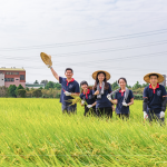 每逢秋旬，稻田阡陌相連，瀰漫著稻草與泥土的芬芳，成就了一串串飽滿稻穗，在秋收時(shí)節(jié)，一同感受來自大地的禮贊。