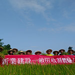 一同體驗(yàn)農(nóng)夫莊稼收割