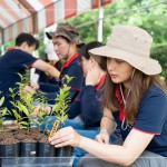 確切的紀(jì)錄樹苗品種及分盆日期，分盆完的小樹苗會(huì)統(tǒng)一放在中央培育區(qū)，待長到30CM至1M再種到大肚山。