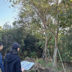 以緞帶為記，牽起『烏臼』與『大塊藏硯』的緣分，靜待時機(jī)，在新的落腳處，延續(xù)自然與人文之間的美好記憶。