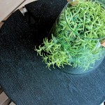 玻璃盆栽盛滿著盎然的綠意，悄悄向外蔓延，不妨期待著這株綠意在某一天帶給你的驚喜。