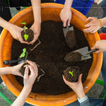 復(fù)育森林，並非將樹種滿，而是選擇適地適種的原生種，透過 ＃樹苗培育，達到生態(tài)平衡，維持生物多樣性。