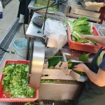 每天早上，中央廚房就開始著手備餐，雖忙碌，但每個(gè)流程是滿滿的用心與付  出。