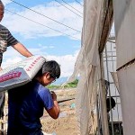 上一代承接給年輕小農(nóng)的，並不是土耙鋤頭，必須從零開始做起，從一袋袋肥料開始扛起。堅(jiān)持盡可能讓肥料灑得剛剛好，適量不過量，讓土地更有永續(xù)發(fā)展的餘裕，以善念回應(yīng)給土地。