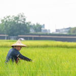 支持霧峰在地三代小農(nóng)，友善耕作，堅(jiān)持品質(zhì)，嚴(yán)選品種，保留大地最純粹的溫柔。