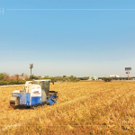 放眼望去猶如金黃稻浪，結(jié)綴累累的稻穗是農(nóng)民們辛勤付出的最美風(fēng)景。