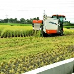 一粥一飯，當(dāng)思來(lái)處不易，所扒進(jìn)嘴裡的每一口飯，我們都能想見(jiàn)：此刻，樂(lè)天的農(nóng)民正以著最樸實(shí)的笑容，來(lái)迎接稻田每一天的欣欣向榮。