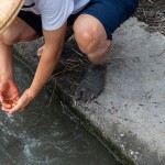 用清水將雙腳洗淨(jìng)，感受大自然的洗禮，就像是一場(chǎng)踏入自然界的感官之旅。
