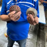 專業(yè)磨石材「造型師」登場(chǎng)！左邊的工具適合硬度較高的花崗巖，右邊則適合切割硬度較軟的大理石，儼然已經(jīng)摸清石材的脾氣與習(xí)性，不同石材也需要不同的工具處理。