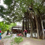 需擬定縝密的攀樹計畫、風險評估，配戴好各式攀爬裝備。安全第一!
感謝「樹沃客」專業(yè)團隊。