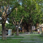 綠意盎然的臺中文學館，有近百株繁盛花草樹木，環(huán)繞日式時代的百年建築，有著說不完、道不盡的人文歷史，不妨親自巡禮一番。