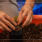 透過手的溫度，傳遞對(duì)自然環(huán)境的關(guān)懷，一棵樹是人與土地的連結(jié)，希望透過努力、堅(jiān)持與分享，讓臺(tái)灣『大肚山–淺山森林』恢復(fù)到應(yīng)有的自然樣貌與內(nèi)涵。