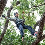 接獲攀樹挑戰(zhàn)的大人們，不惶多讓直攀樹稍，近距離欣賞樹冠的雄偉壯麗