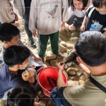 荒野保護協(xié)會總顧問-林笈克親臨現(xiàn)場，特地下溪捕撈小魚，有原生種鯽魚、吳郭魚、紅魔鬼等，不僅讓大小朋友認識牠們，也更加了解筏子溪的多元生態(tài)，並於結(jié)束時將這些小魚們放回屬於牠們的家園。