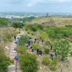 防火林帶建置—保留了野生樹種，種下榕屬植物，透過樹島的母樹大量逸散種子，長出野生樹苗，來加速森林演替、生生不息。