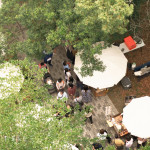 森林裡的春日漫遊，在陽光下放鬆身心，沿著小徑慢慢散步，靜靜地為自己充電，收集生活中的簡單美好。