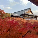 楓紅灑落，一片紅海蔓延至東福寺通天閣，一片靜謐彷若與世無爭的世外桃源。