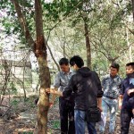 樹形整體飽滿度、分枝錯落的方向，360°觀看下是否皆能達(dá)成美的平衡等皆是新業(yè)選樹的考量。