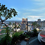 新業(yè)「觀峰」實(shí)品屋