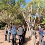 親自確認(rèn)並檢查樹種的生長狀況，看葉片茂盛程度與樹形，彷彿能預(yù)見社區(qū)未來的質(zhì)感一景。
