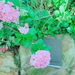 枕在石上的手札本，藏在詩中的少女情懷正等著誰翻閱？