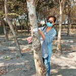 選定每棵樹木後，新業(yè)團(tuán)隊會以紅色緞帶繫上樹幹紀(jì)錄，宛如為櫸木與『築之細(xì)道』之間密不可分的「紅線」。