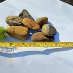 石頭們各司其職，就連小小的溪石，也恪盡職守讓水流潺潺，不受阻也不間斷。