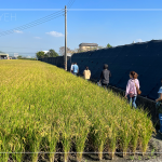 有用心栽培的樹種，新業(yè)便踏著腳步前往尋蹤，期望樹木與建築能自然地融合，
模糊與天地大美的界線。