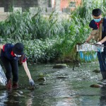 河中的前三名殺手──菸蒂、破碎塑膠袋、瓶蓋吸管，易被小魚小蝦或青蛙誤食。