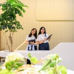 與新業(yè)家族們在午后時刻團聚，一同度過『良辰吉食』的優(yōu)格饗宴。