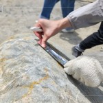 以鋁箔膠帶為記，牽起與新業(yè)的緣分，等待時機，即將坐落臺中『大塊森濤』社區(qū)，延續(xù)自然與人文的美好記憶。